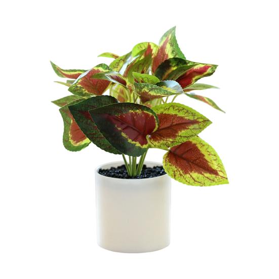 Artificial Plant Bonsai Unfading Decorate Exquisite Details Exquisite Small Tree Simulation Pot Plant for Home