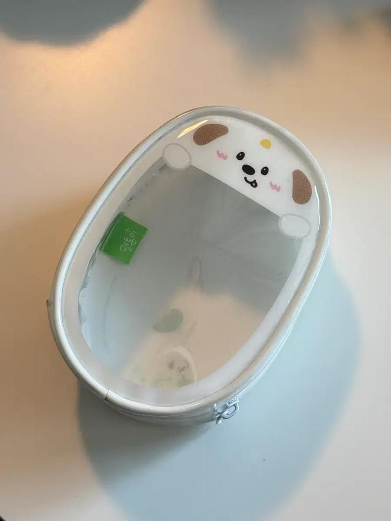 RIIZE Anton Mini Dragon 7cm Dollar Pouch Pig Bag Used