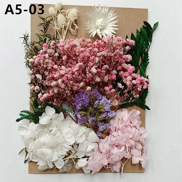 Exquisite Eternal Dry Flower Ancient Style Group Fan Material Pack for Children's Handmade Exclusive Decoration Dried Flowers