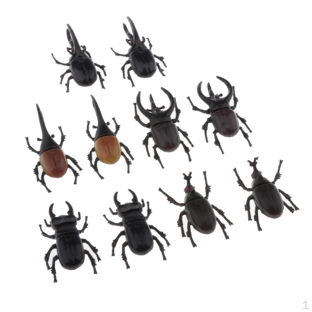 Spider Animal Model Artificial Teaching Toy Toys Kids Gift