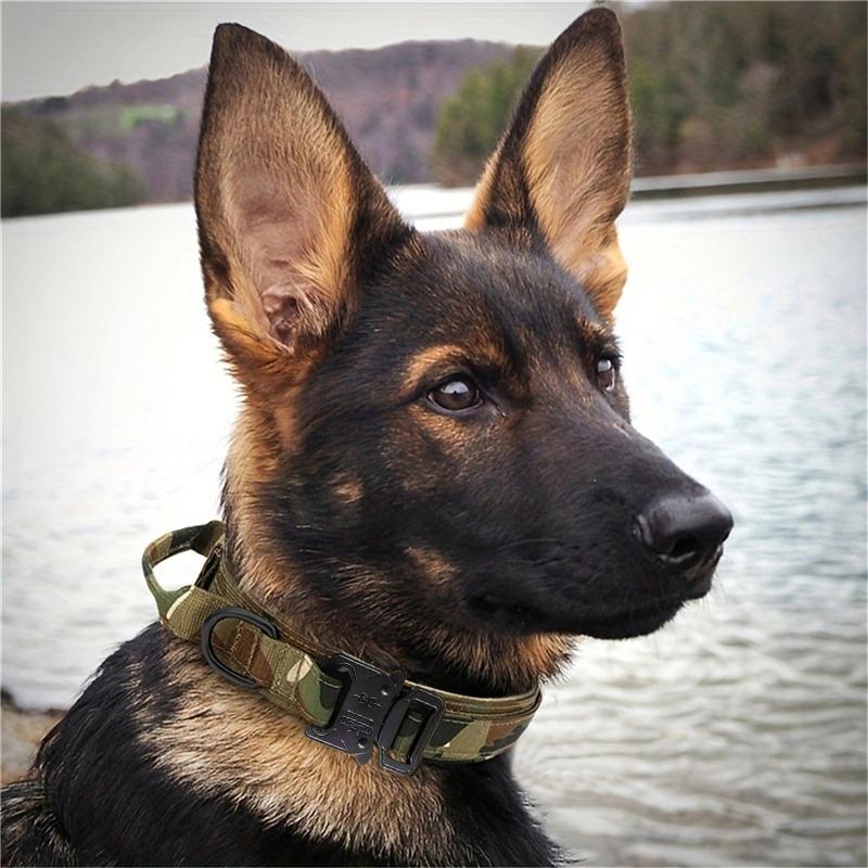 Dog Collar Nylon Adjustable Durable German Shepherd For Medium Large Outdoor Walking Training Pet Supplies