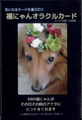 Fuku Nyan Oracle Cards Lee Fuku Okan 48 Cards with Japanese Message List [Genuine]