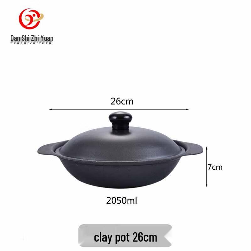 Danshizhiyuan Cast Iron Claypot