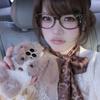 Leopard Print Eyeglass Frame Bow Accessories Cute Beauty Cartoon Anime Y2K Vintage Eyeglass Frame Toys for Girls Gifts