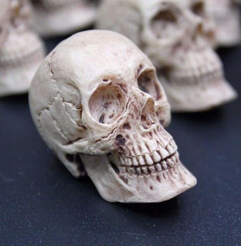 Mini Artificial Skull For Anatomical Scenes Perfect For Home Decor And Gifts