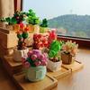 Non-Toxic Blind Boxes Toys Building Block Flower Succulents Plant Diy Children Assemble Mini Brick Blocks Toys For Children Kids Gifts