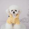 Pet Dog Winter Outfit Set Rainbow Plaid Skirt Two-Legged Coat Small Medium Breeds