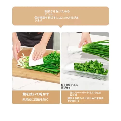 Set of 6 Vegetable Storage Containers | Refrigerator Storage for Radishes, Green Onions, and Cilantro | Airtight Transparent Boxes | Space-Saving, Sta