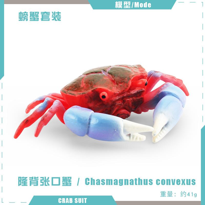 Vividly Colored Pvc Crab Model Featuring Realistic Design Perfect For Collectors And Decor Home