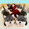 Adorável Brinquedo de Pelúcia Husky Grande Almofada Fofa Para Meninas Macio e Lavável