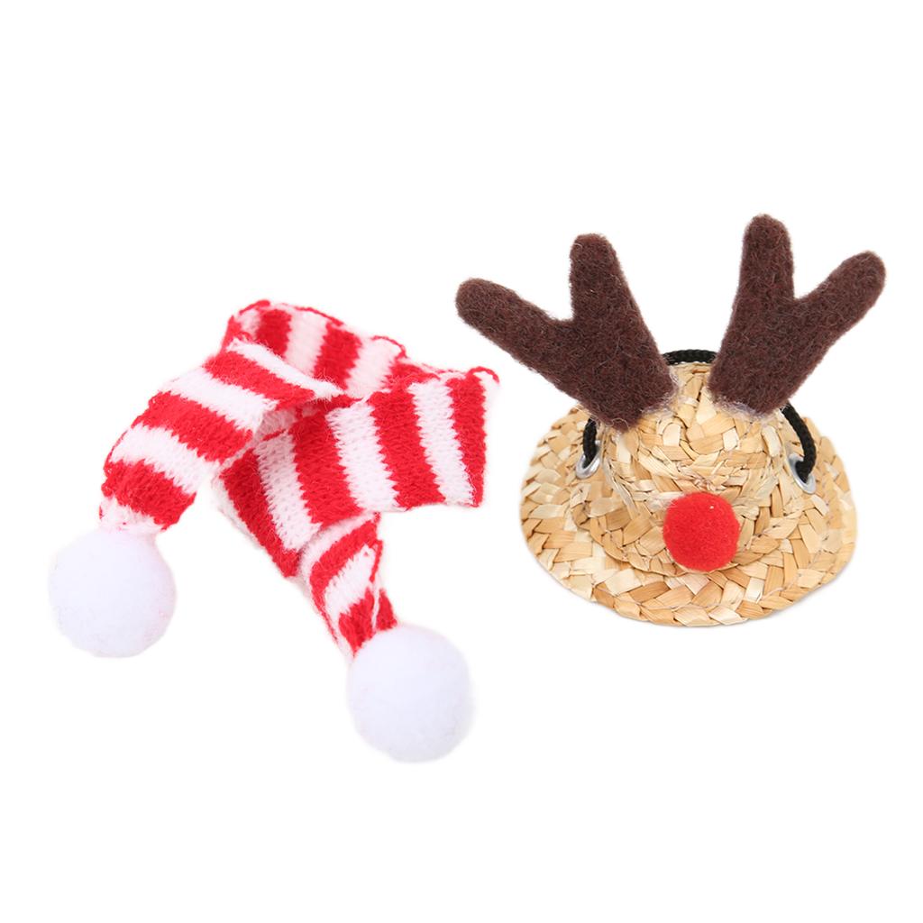 Skäggagam Jultomtehatt Halsduk Reptil Justerbar Halm Älg Hatt och Halsduk Julkostym för Högtidsfest Foton