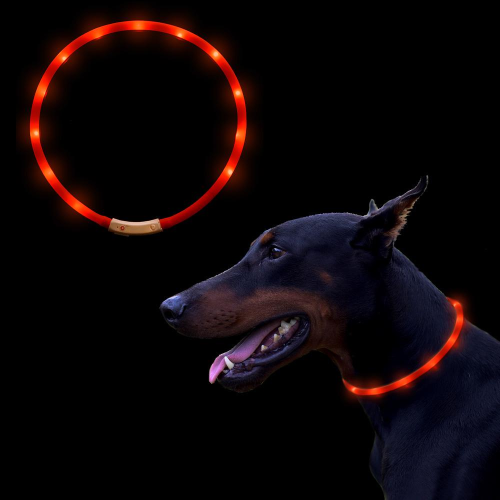 dog collar led flashing light