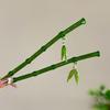 2024 New Chinese Style Green Plastic Bamboo Leaf Hair Stick For Women Girls Vintage Acrylic Chopstick Hairpin Hair Accessories