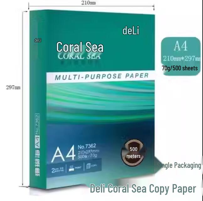 Carta Bianca Deli A4 70g e 80g, Design Venature Legno, Schizzo Studente, Stampa Fronte/Retro Spessa