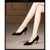 Black pointed high heels women's spring and autumn mid-heel new temperament shallow mouth professional work shoes single shoes women