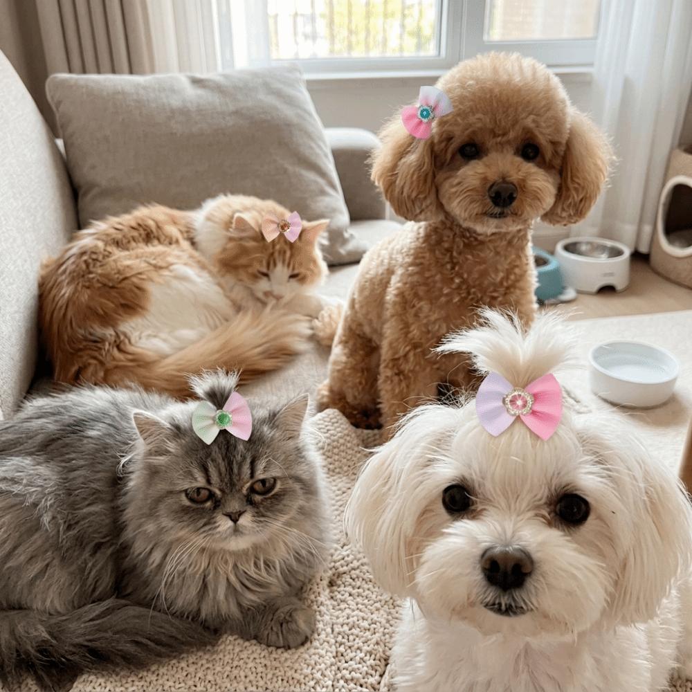 24Pcs Small Size Pet Hair Accessories Elastic Rubber Band Dog Bow Hair Ties Pet Daily Decoration