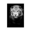 Black White Animal Wall Art Prints Unframed Modern Wild Lion Tiger Gorilla Posters for Living Room Bedroom Decor