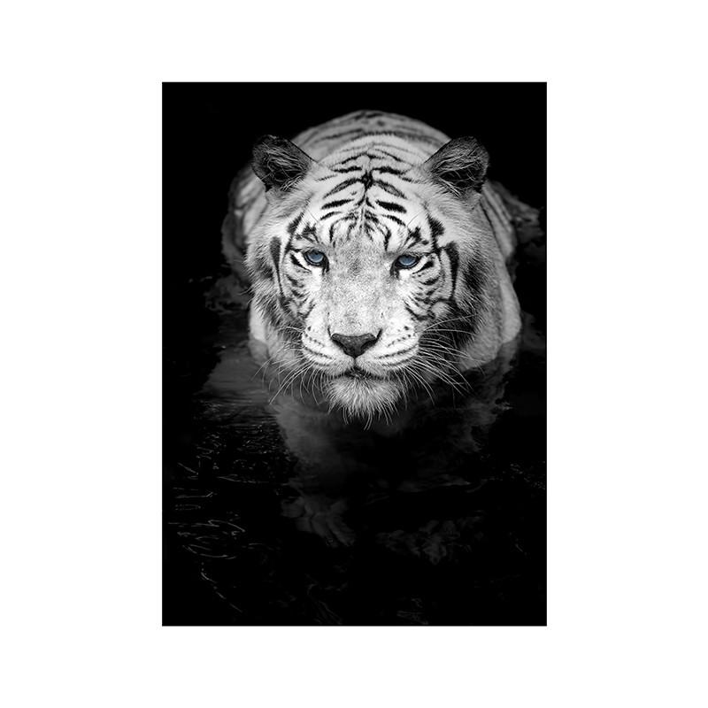 Black White Animal Wall Art Prints Unframed Modern Wild Lion Tiger Gorilla Posters for Living Room Bedroom Decor