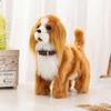 2026 &&Model Interactive Electronic Plush Puppy, Sound-Control Teddy that Walks and Barks