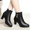 Winter New Short Boots Women's High Heels Boots Women's Cotton Shoes Versatile Middle Aged Women's Boots