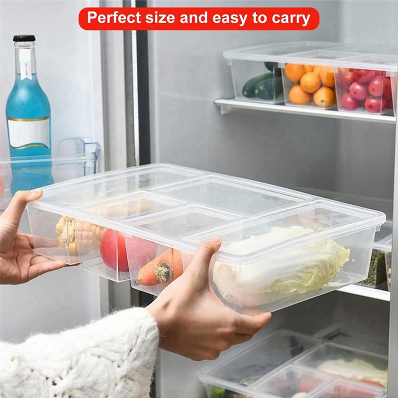 ABWR-2 Pack Divided Vegetable Trays With Lids, Compartment Refrigerator Snack Boxes, Transparent Refrigerator Storage Boxes