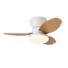 2024 Nordic Ceiling Fan Light: Variable Frequency for Bedrooms & Children's Room