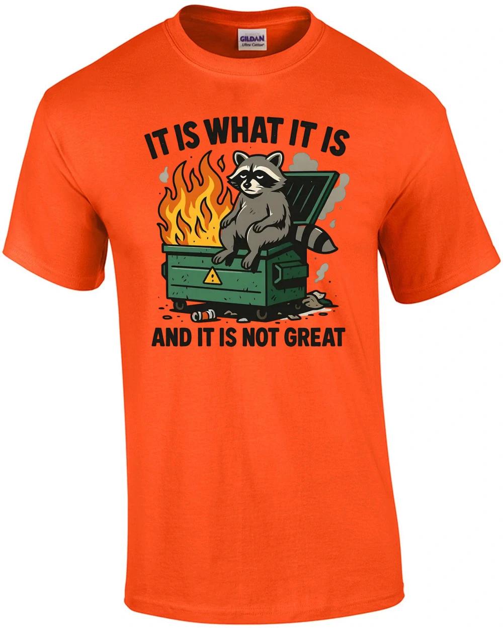 It Is What It Is And Its Not Great T-Shirt 2XL
