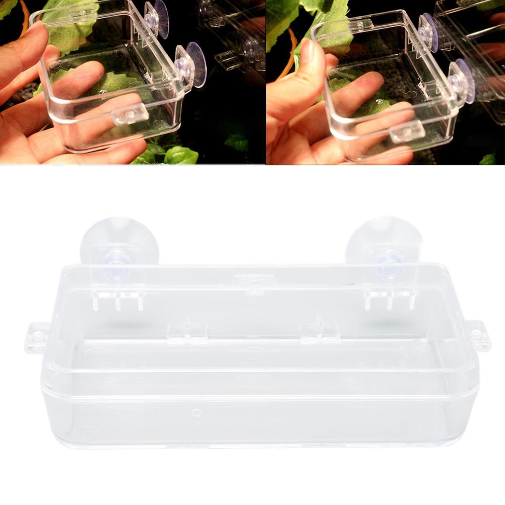 Reptile Feeder Cup Prevent Escape Transparent Reptile Feeding Dish with Suction Cup for     Bearded Dragon