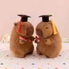 Cartoon Design Graduation Capybara Plush Toy 25 CM Doctor Hat Capybara Party Decor