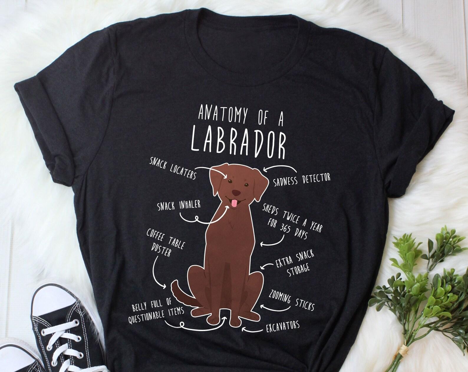 Chocolate Labrador Retriever Shirt, , , Funny Dog Lover Gift, Cute Lab Mom Dad T-shirt, Dog Tshirt, Pet Tee, Dog Anatomy Humor 140