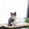 Large Window Bed For Cat Hammock Window Bed Up To 20 Kg 55X35 Cm
