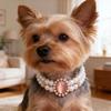 Doppellagige Perlen-Haustierhalskette Strassstein-Edelstein-Dekor Halsband für Katzen Kleine Hunde Foto-Accessoire