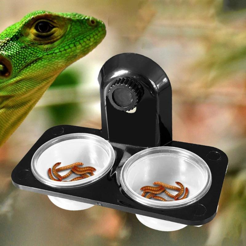 Reptile Dual Purpose Food Basin Hanging Space-saving Water Basin For Beetles Spiders Green Iguanas