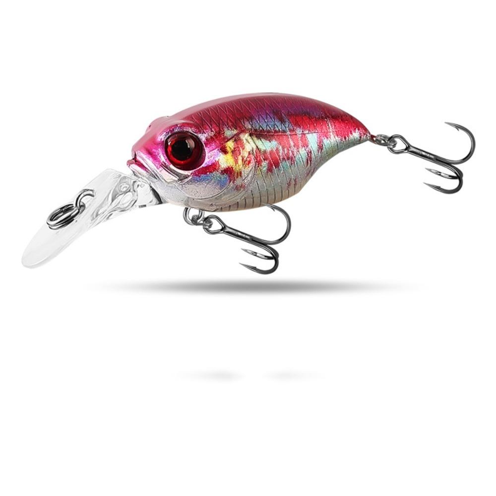 Professional Plastic Fishing Lure 5 Colors 3D Printed Floating Minnow Baits 5.8cm 6g Artificial Lures Fishing
