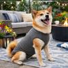 Bequemer Hunde-Genesungsanzug Elastischer Katzen-Overall Hunde-Kastrationsanzug Genesungszeit