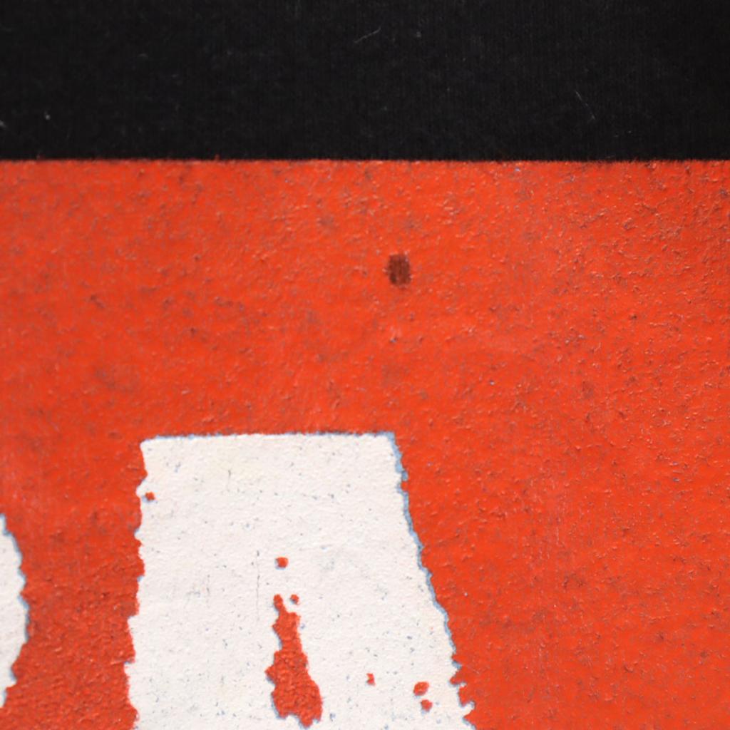 THUNDER Che Guevara Print Short Sleeve T-shirt S Black Men's Used