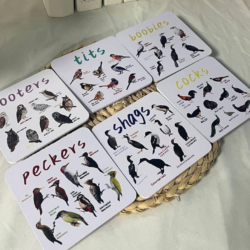 American Style Bird Pun Coasters Set Of 6 Durable Wooden Coasters Unique Home Decor