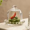 Transparent Cake Cover and Tray for Desserts, Mini Display Stand for Afternoon Tea or Fruit Tasting.