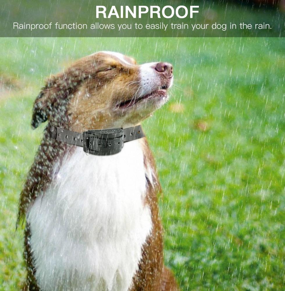 Rechargeable Dog Collar Anti Bark Control Training Stop Barking Vibration Trainer