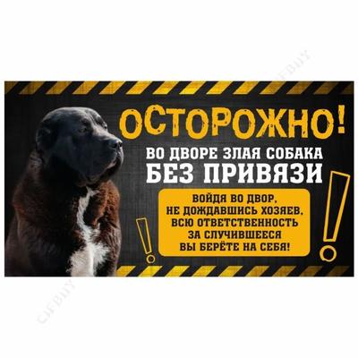 The Sign, with Humor, DANGER DOG, Be Careful! There Is a Dog In the Yard Without a Leash, Alabai, 20x30 Cm
