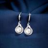 S925 Sterling Silver Water Drop Pearl Earrings for Women - Elegant and Versatile, 2026 New Style