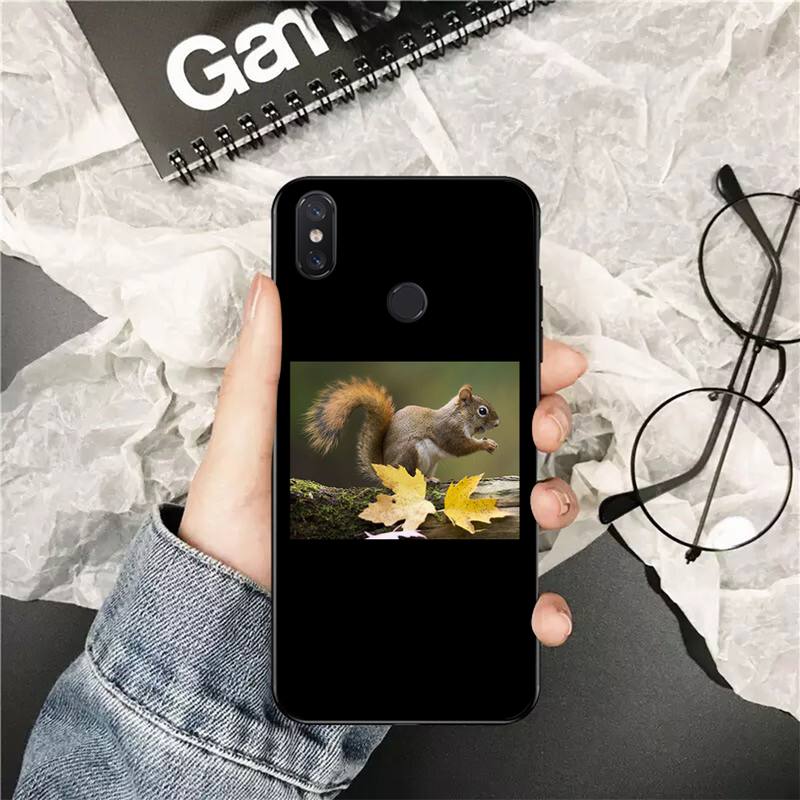 YNDFCNB Cute Animal Squirrel Customer Phone Case for Xiaomi Redmi 5 5Plus 6 6A 4X 7 7A 8 8A 9 Note 5 5A 6 7 8 8Pro 8T 9