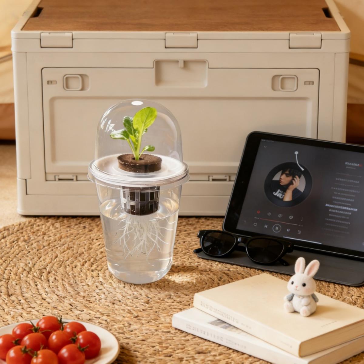 Plastic Transparent Hydroponic Plant Pot Nursery Cup for Home Garden Vegetable Garlic Sweet Potato Growing