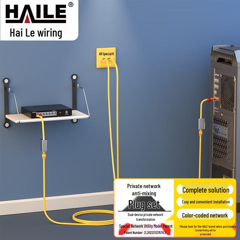 HAILE Cat6 Dual-Port Network Conversion Kit