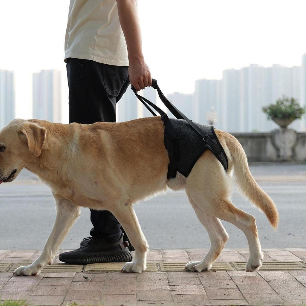 Hunde-Hilfsgeschirr für die Hinterbeine, Mobilitätshilfe für ältere Hunde