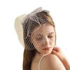 Pillbox Veil Fascinator Hat Tea Party Headwear Veil for Women Lady Black/White
