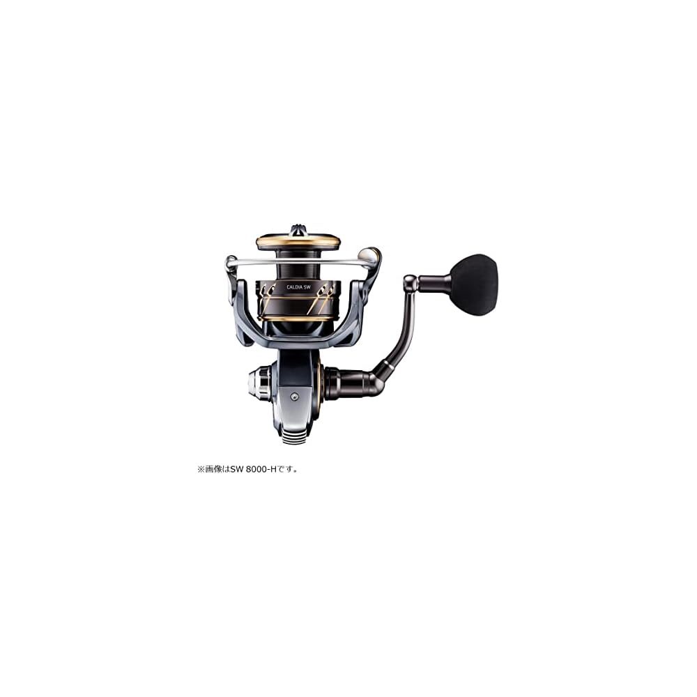 Daiwa Caldia SW 6000S-H Spinning Reel 2022 Model Lightweight Durable Fishing Gear