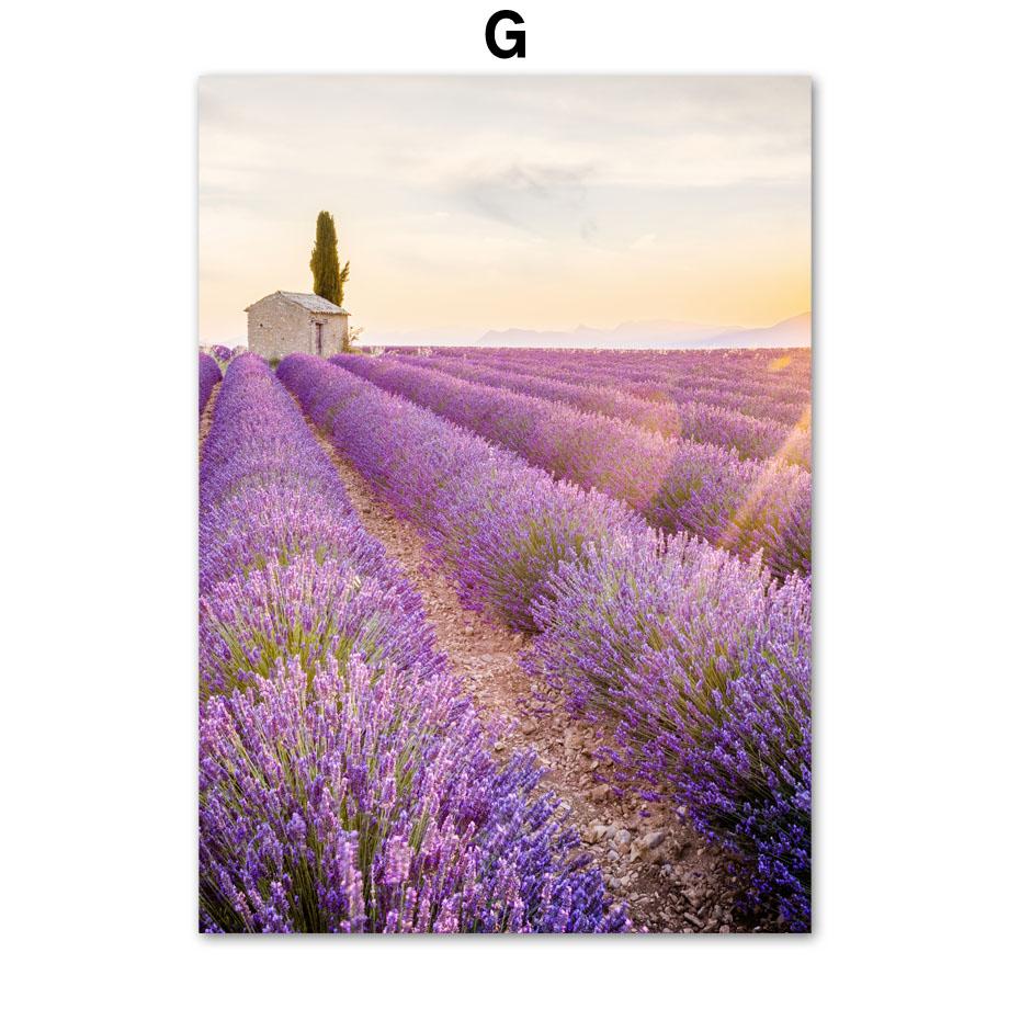 Lavendel Lila Strand Landskap Naturliga affischer och utskrifter Dukmålning Väggkonstbilder för vardagsrum Heminredning