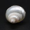 1pc Bohemian Style Natural Shell Stone Round Ring for Woman Fashion Temperament Knuckle Ring Index Finger Ring Girl Jewelry Gift