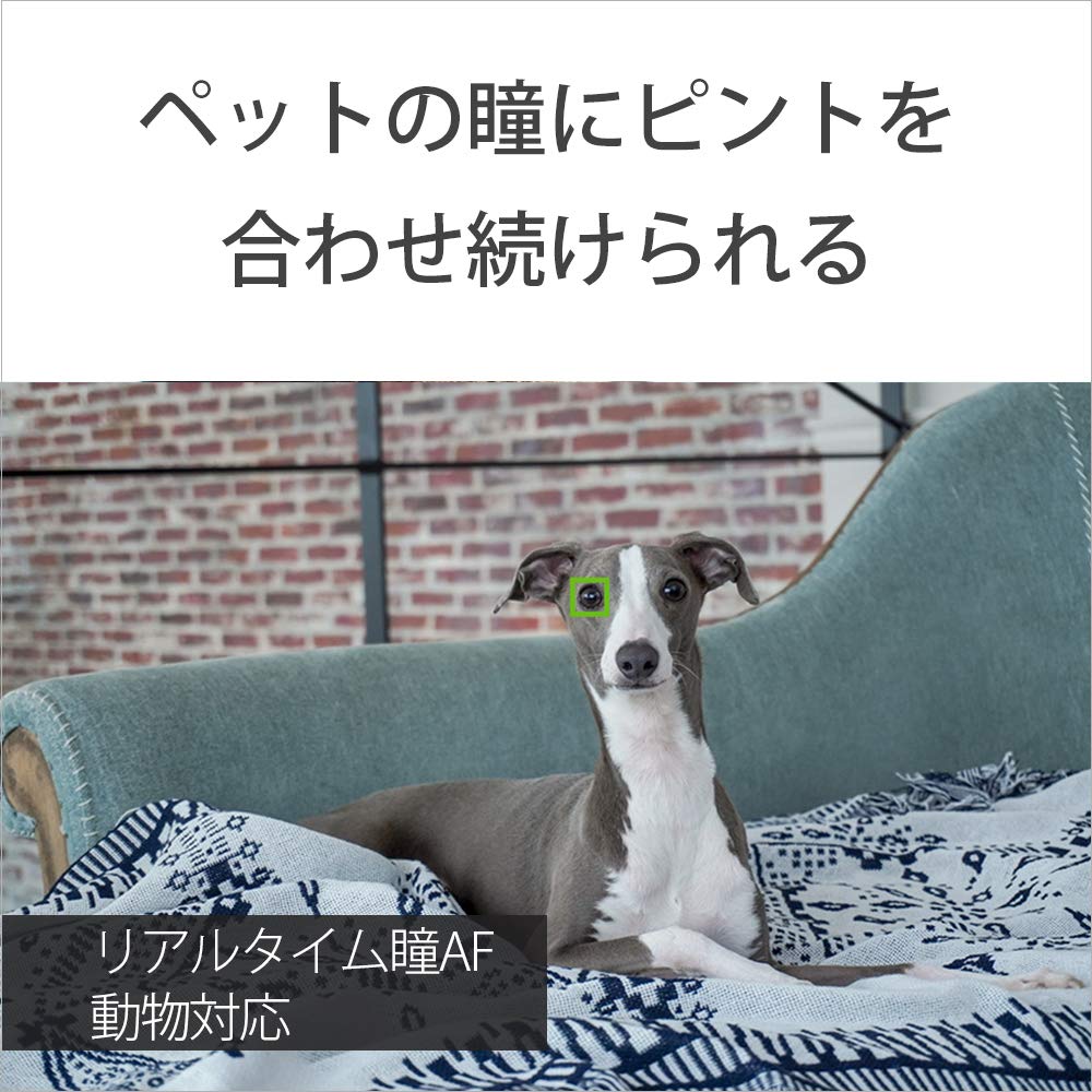 SONY Mirrorless Camera with Power Zoom Lens Kit SONY Mirrorless Camera with Power Zoom Lens Kit frames per Eye 6100 (Black) (ILCE-6100L B) 6100